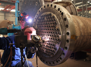 企鹅风采 企鹅风采