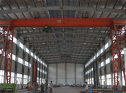 企鹅风采 企鹅风采