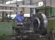 企鹅风采 企鹅风采