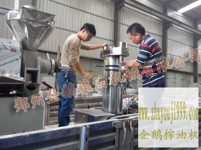 郑州企鹅液压榨油机发货现场