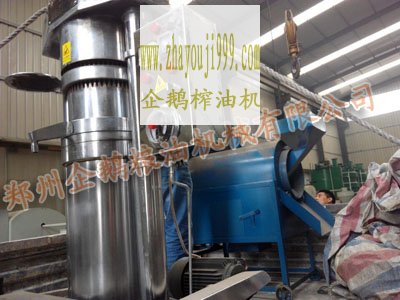 郑州企鹅花生榨油机发货现场