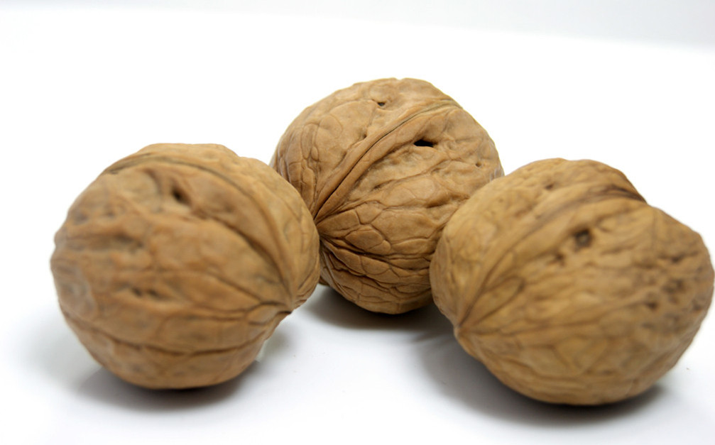 企鹅核桃榨油机——加速中国制造向中国创造的转变