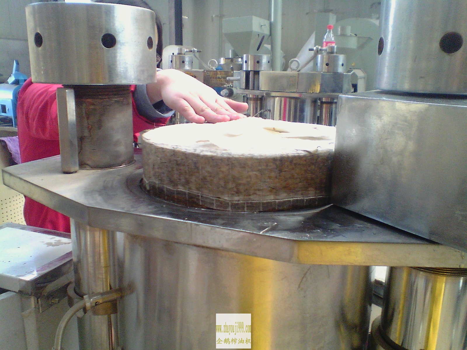 液压榨油机压榨完成后的松籽饼展示