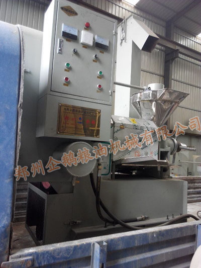 郑州企鹅螺旋榨油机发货现场