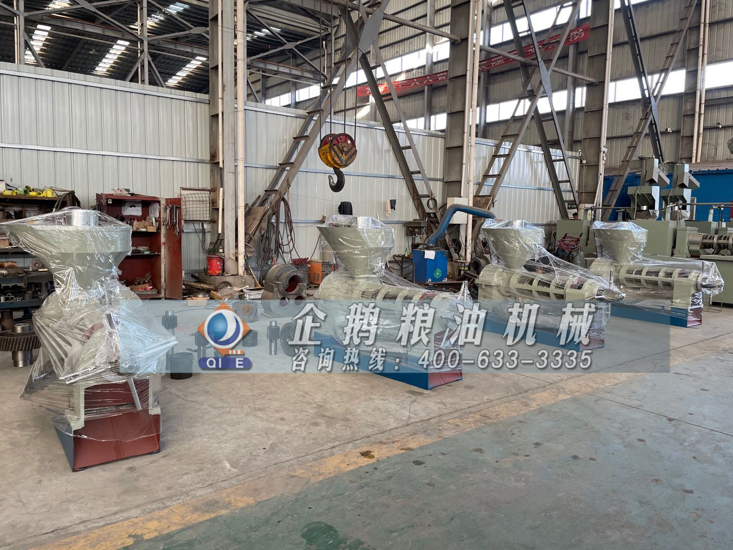 郑州企鹅提供先进冷榨亚麻籽榨油机(图1) 亚麻籽榨油机