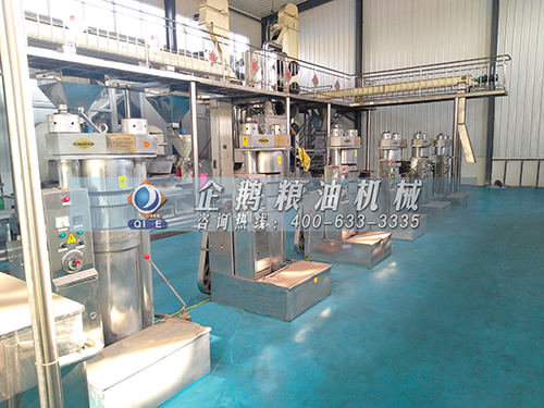 食用油生产线 食用油生产线