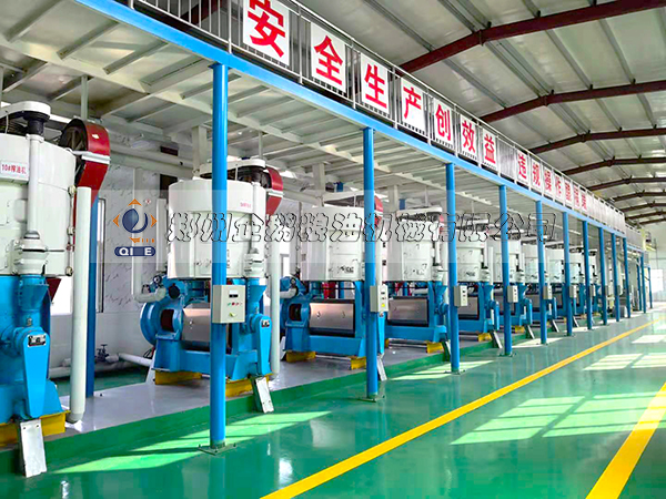 亚麻籽油精炼设备